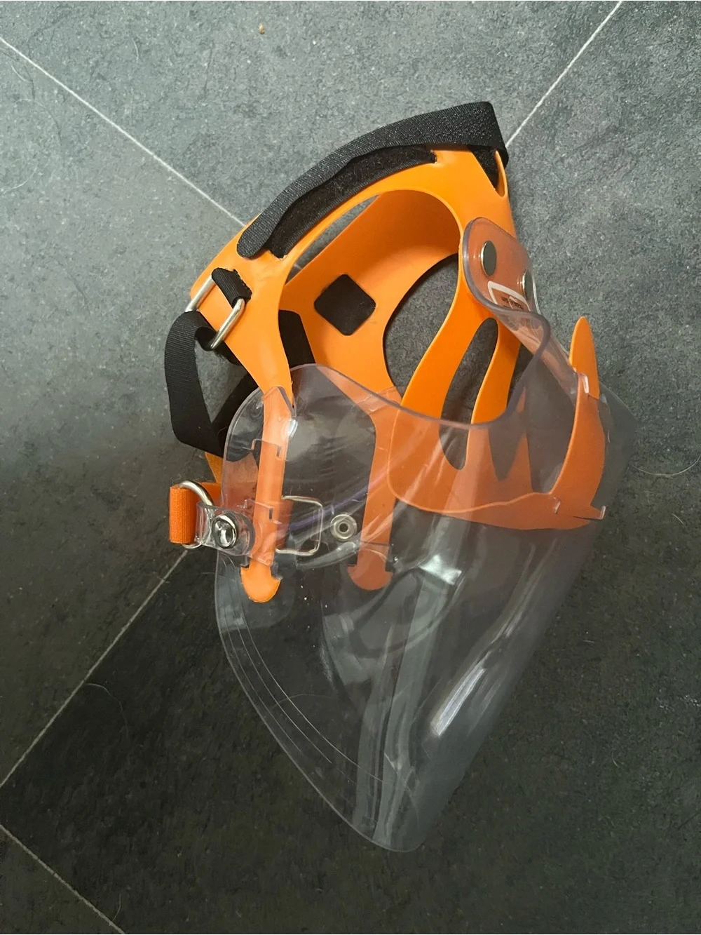 Eye protection for dog post surgery